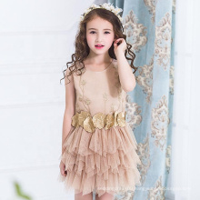 Little Girls' Sequin Flower Wedding Party Tulle Ruffle Pageant Dress Prom Ball Gown